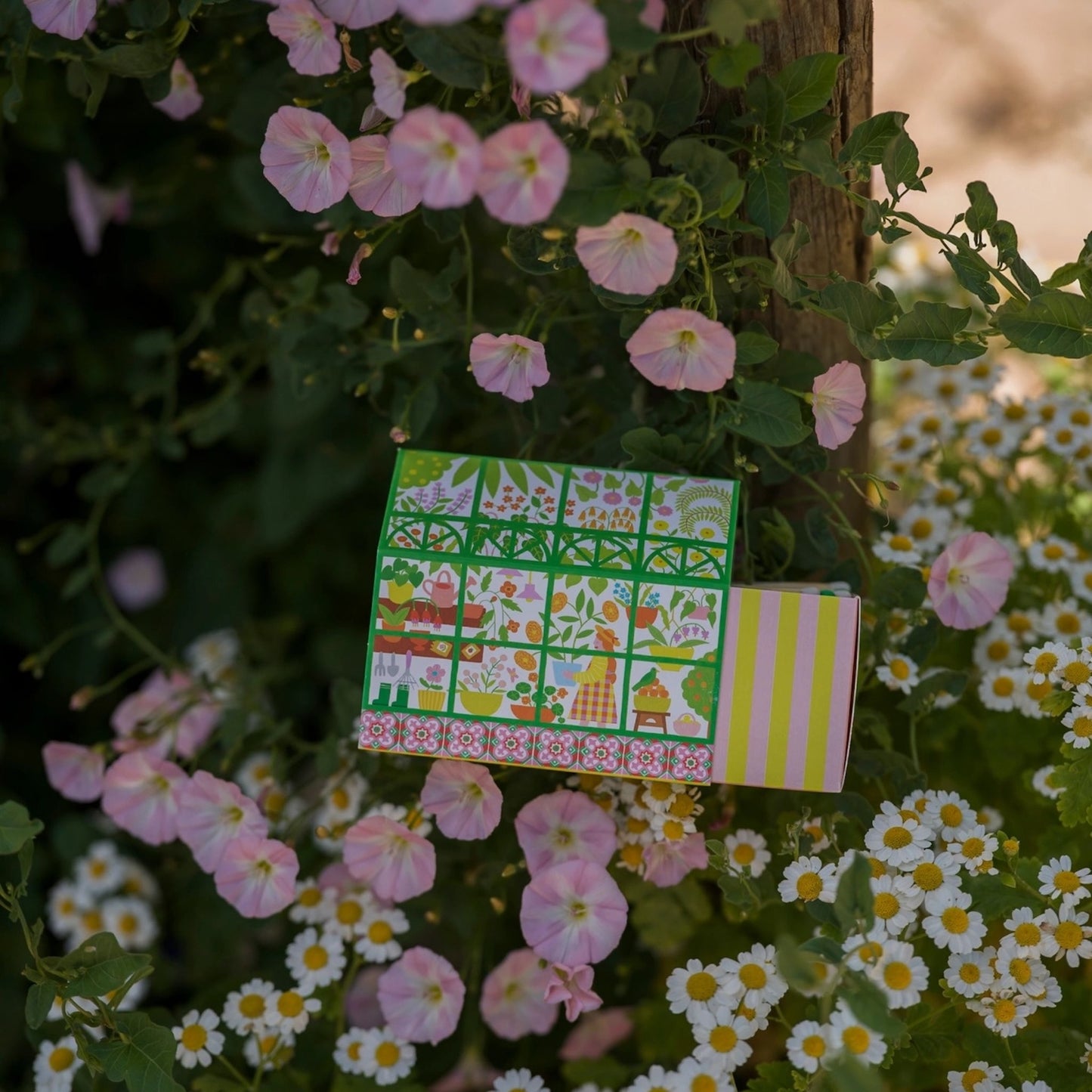 Greenhouse Matches