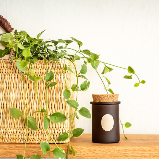 Arboretum Essential Oil Candle