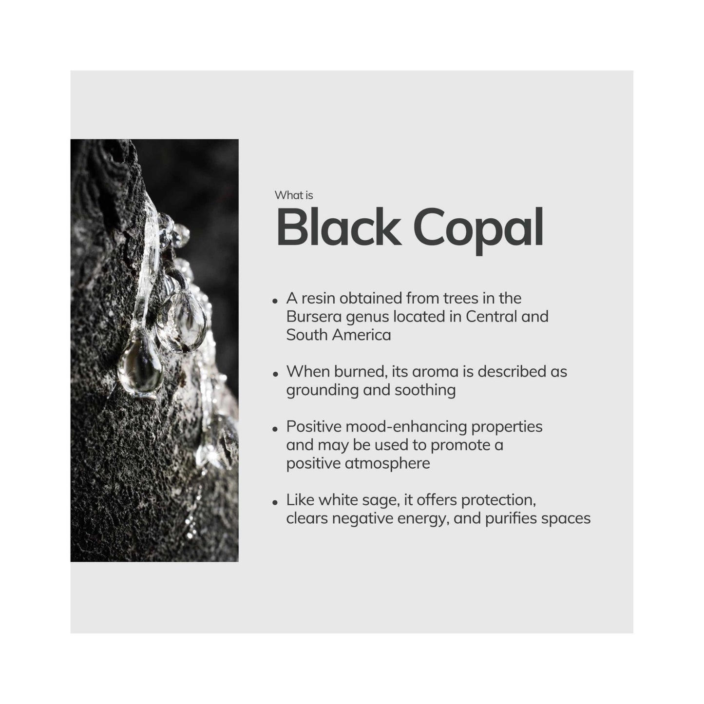 Black Copal Wild Harvested Incense Sticks