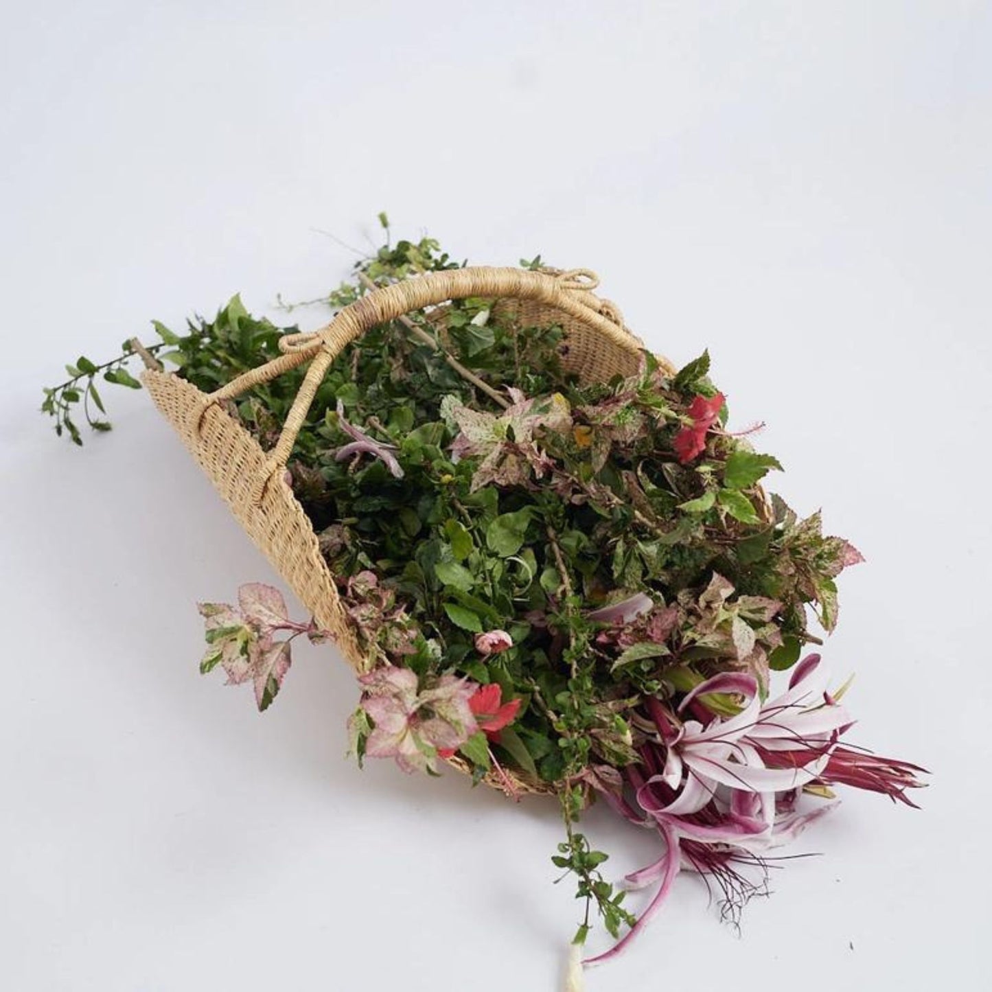 Natural Bolga Flower Basket