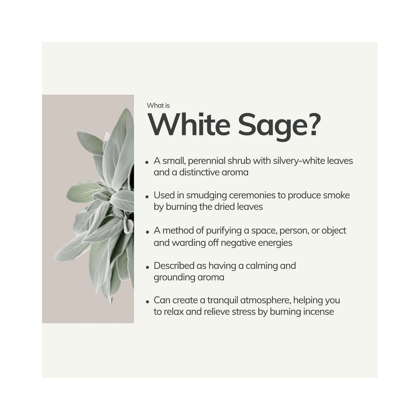 White Sage Wild Harvested Incense Sticks