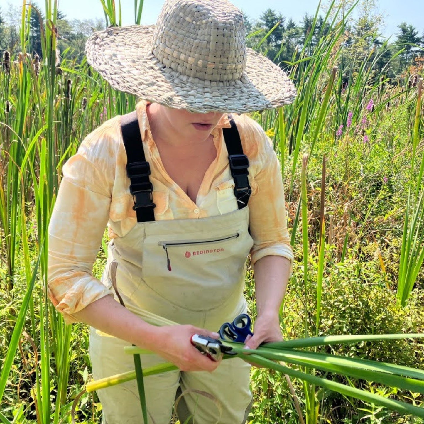 Cattail Basketry and Hat Workshop Series