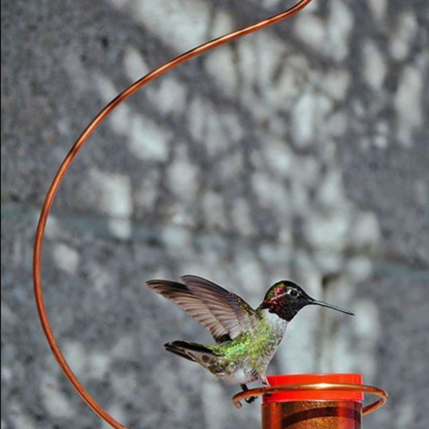Copper Hummingbird Feeder