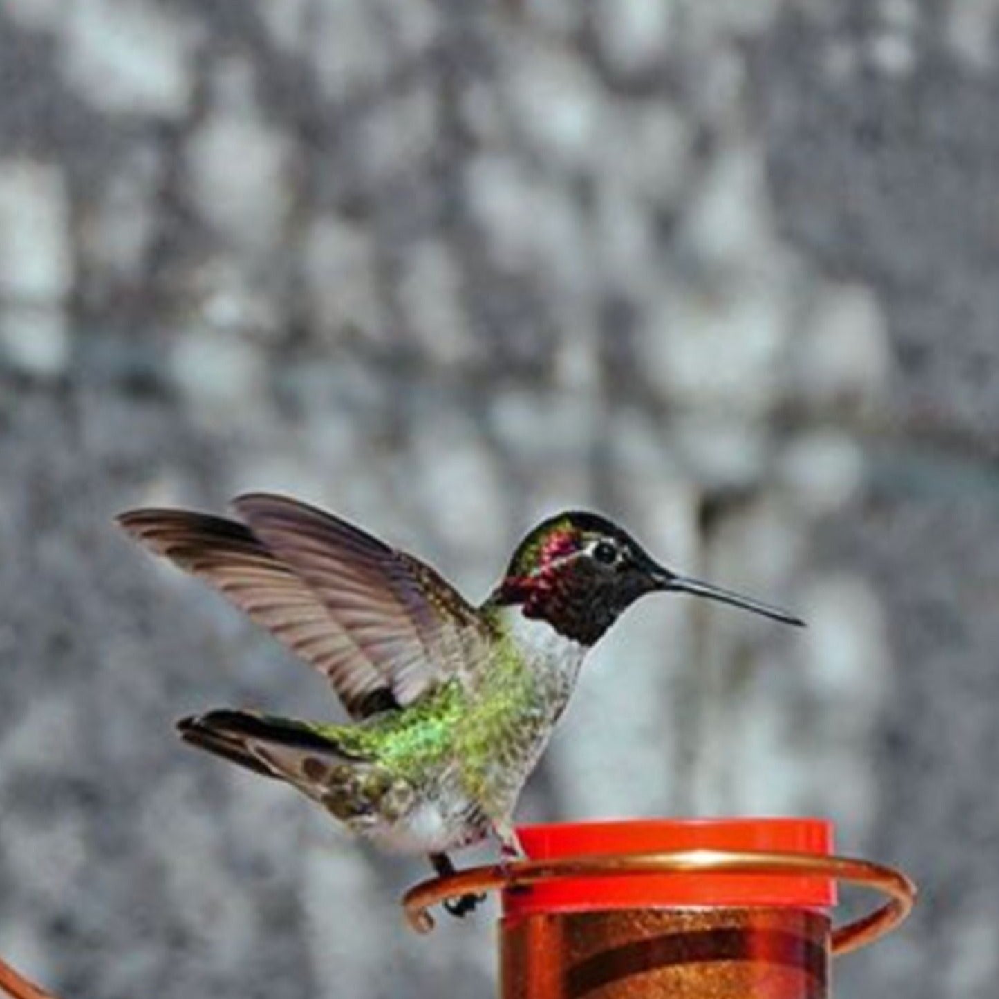 Window Mounted Copper Hummingbird Feeder
