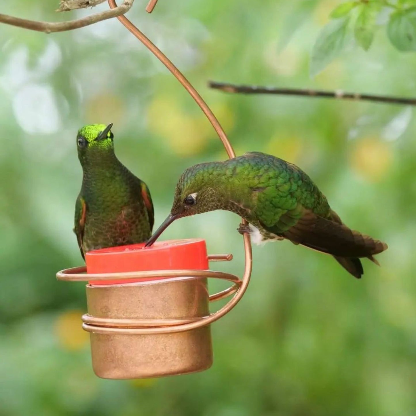 Copper Hummingbird Feeder