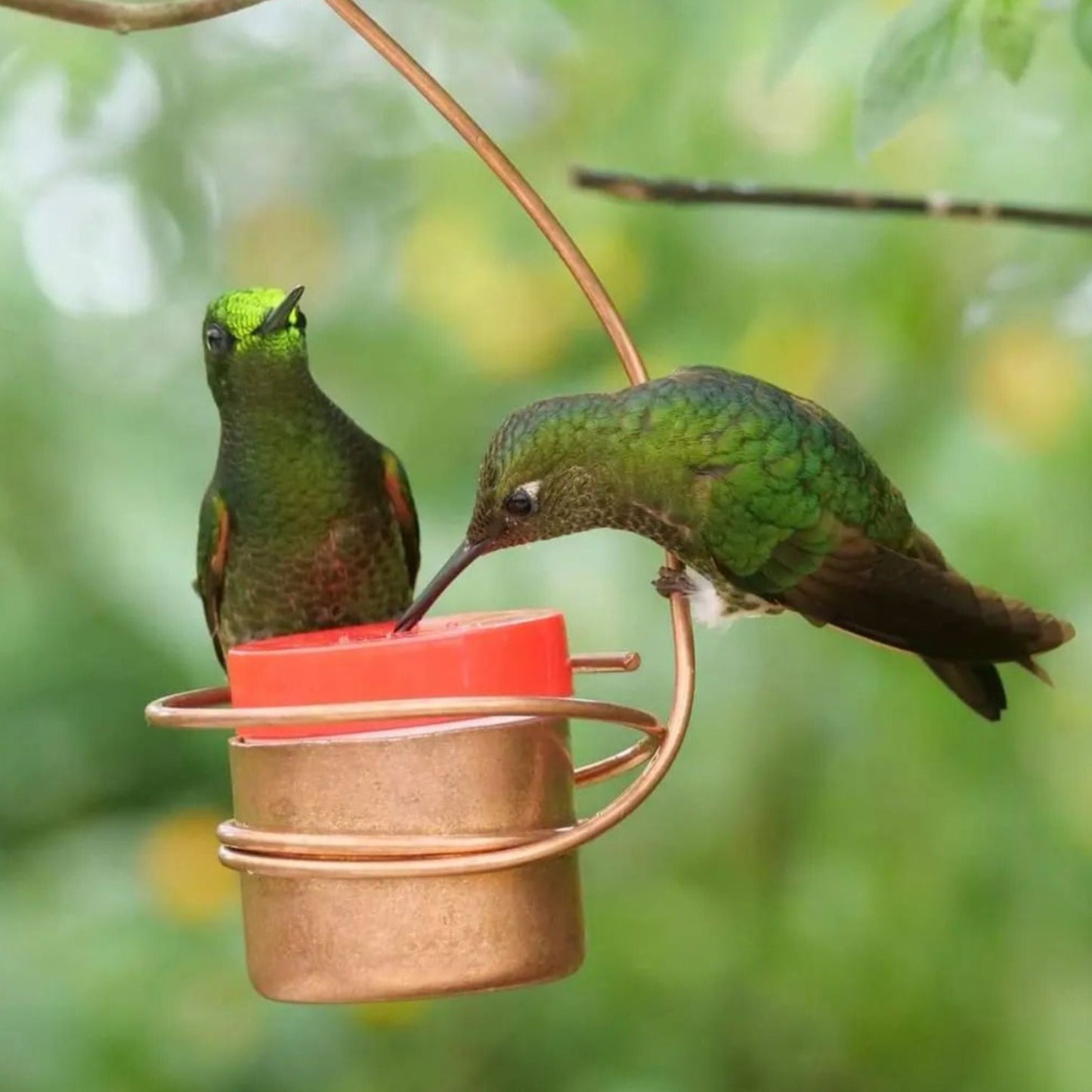 Window Mounted Copper Hummingbird Feeder