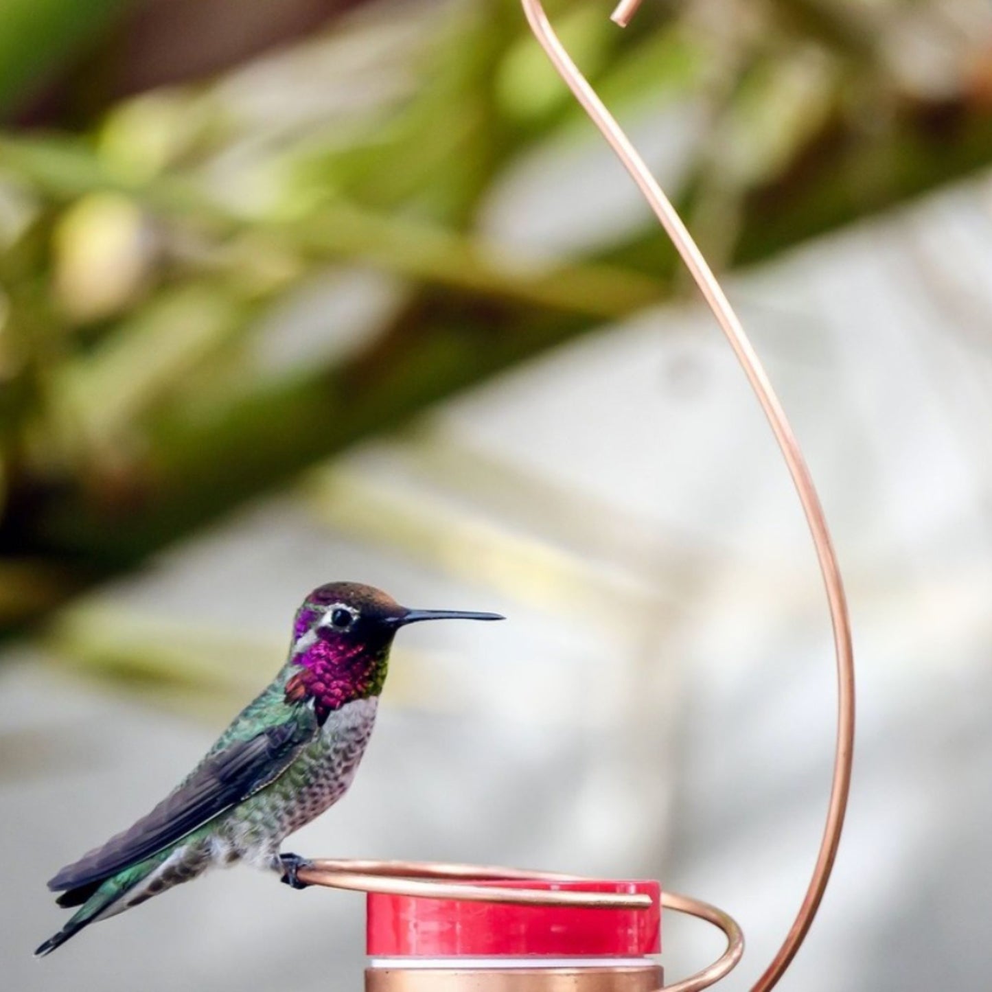 Copper Hummingbird Feeder