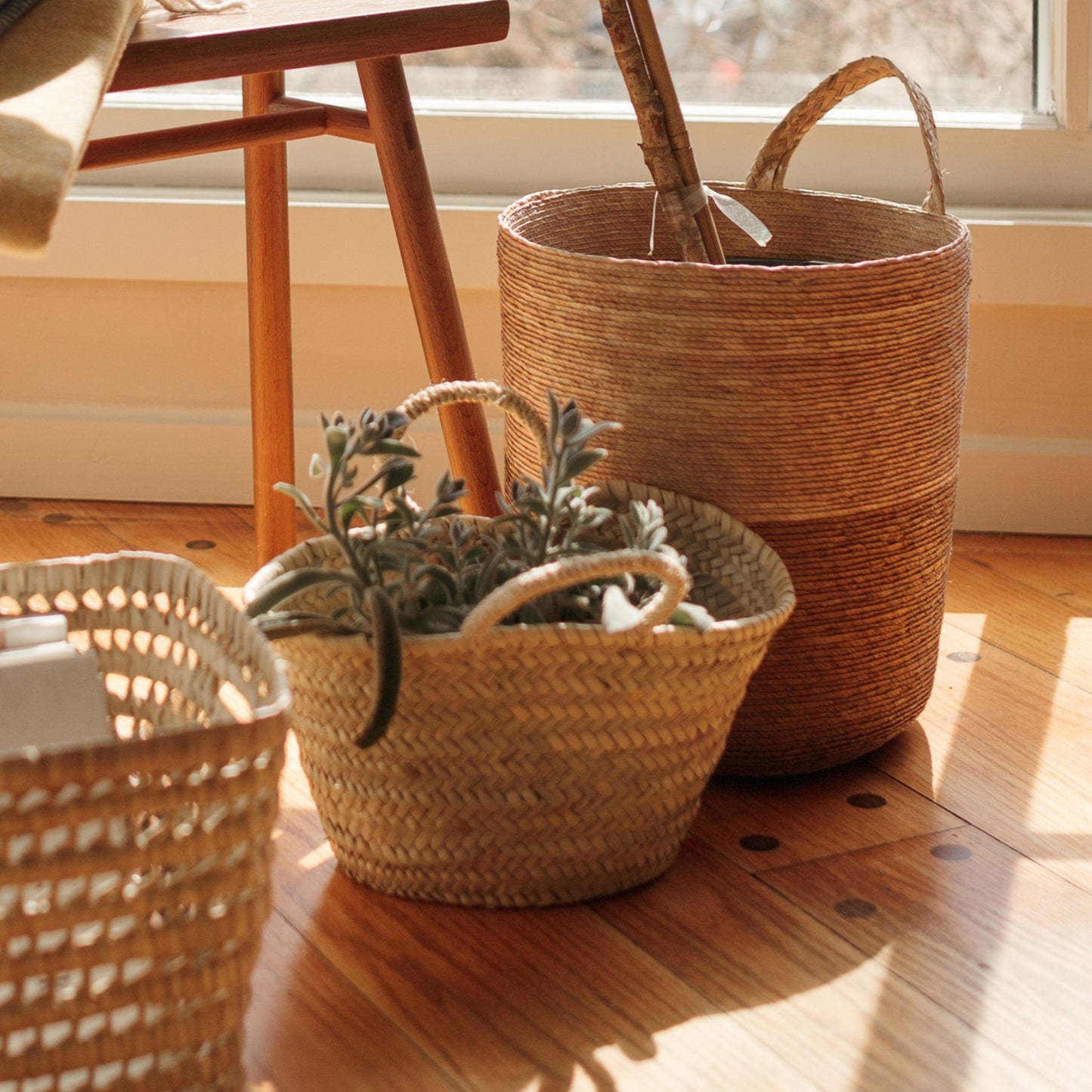 Cutie Gift Basket