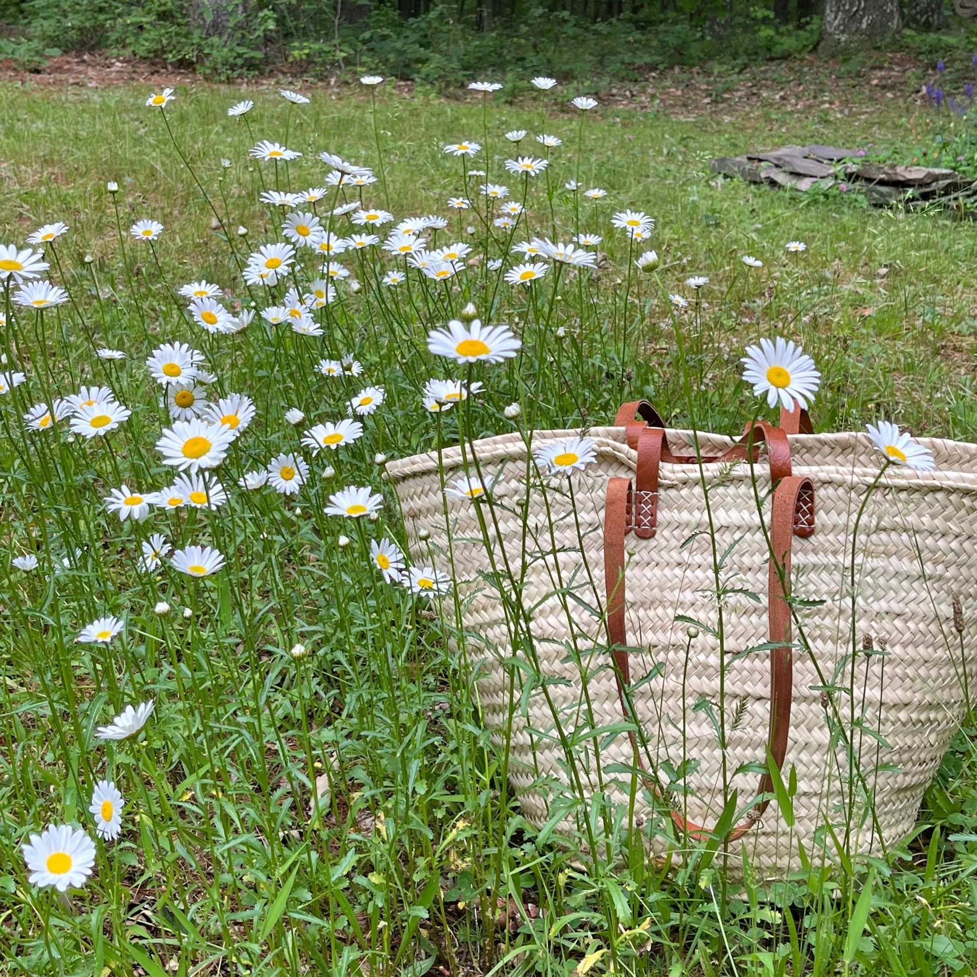 A french market tote with leather straps outside in the grass