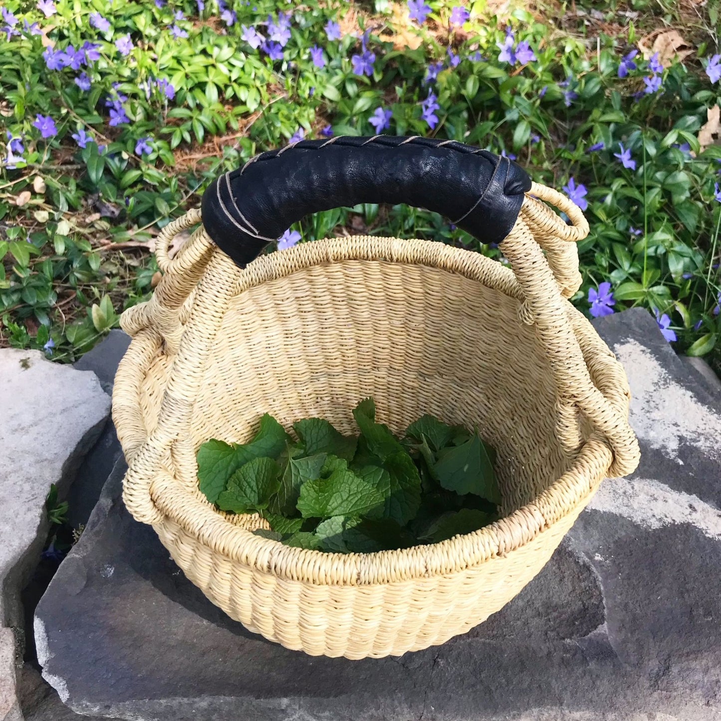 A mini round bolga basket with a black leather handle holding leaves.