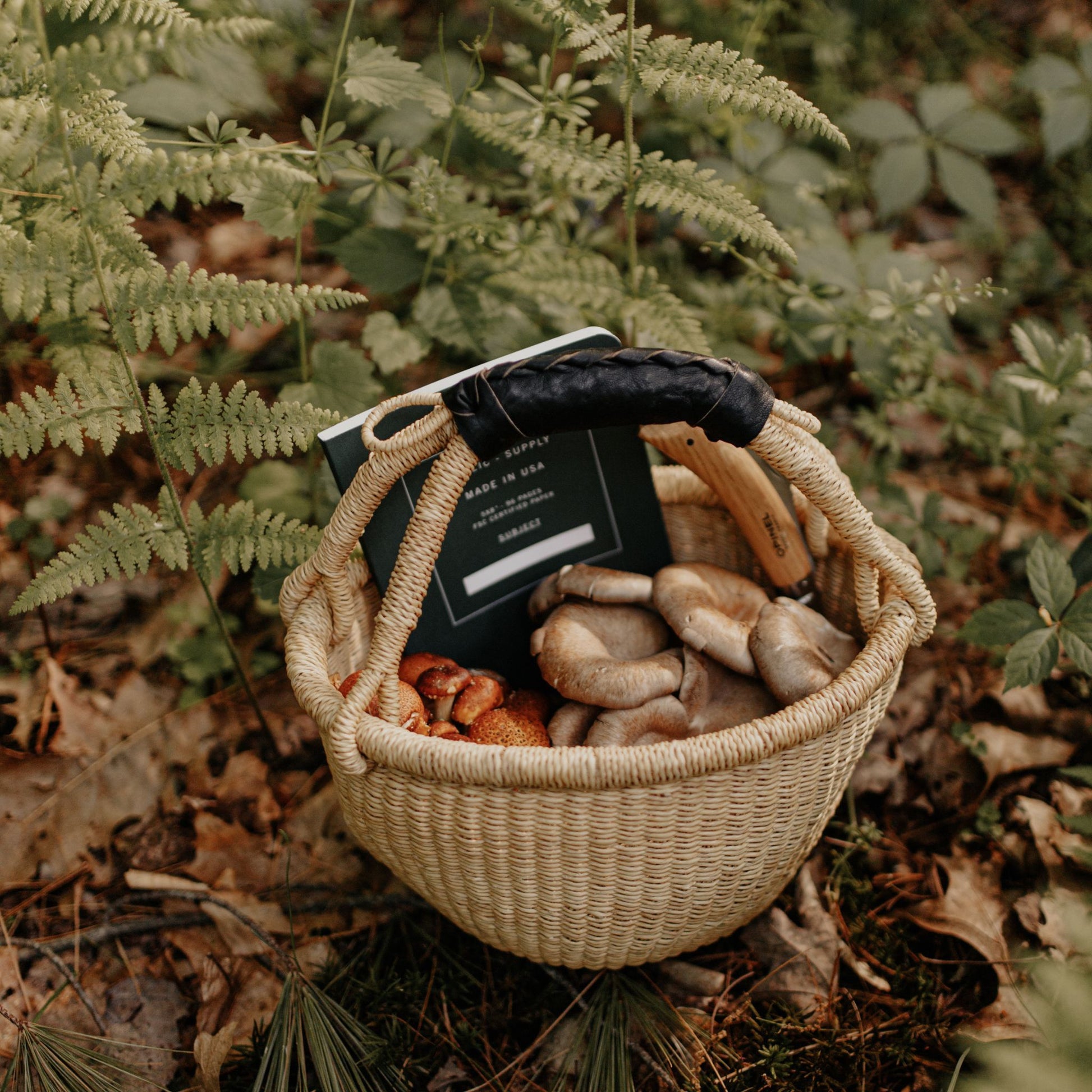 A mini round bolga basket with a black leather handle holding mushrooms and a book.