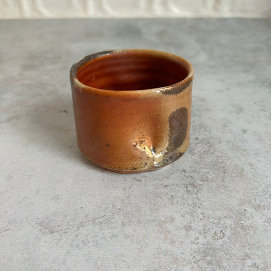 Ceramic Fossil Cup by Mudsprouts