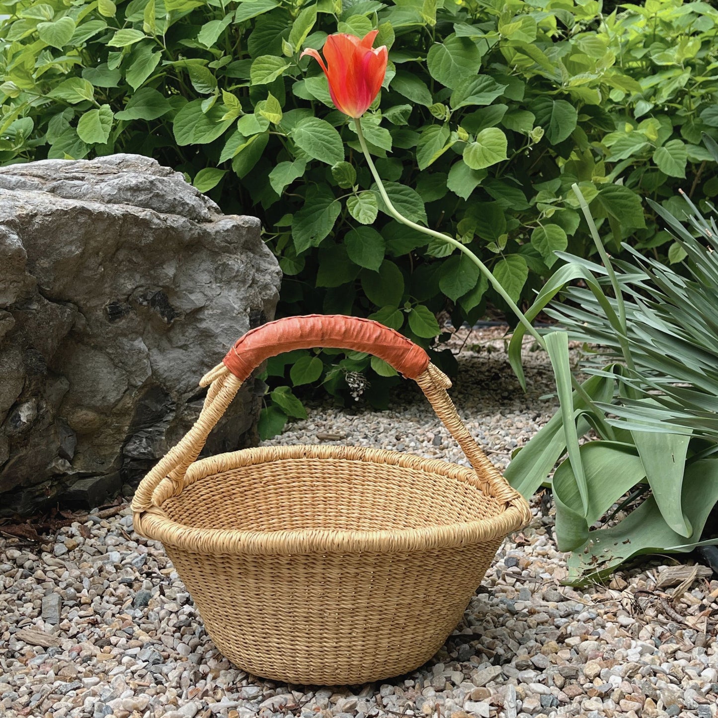 Flat bottomed fruit basket with a round tapered bowl design and a tan leather handle sitting outside on small pebbles with a rock and greenery behind it.