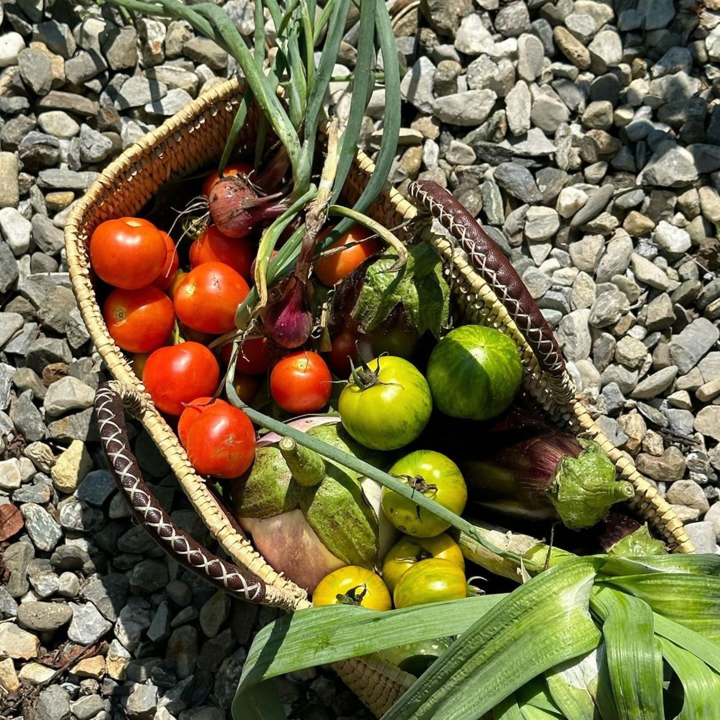 Gardener’s Long Basket