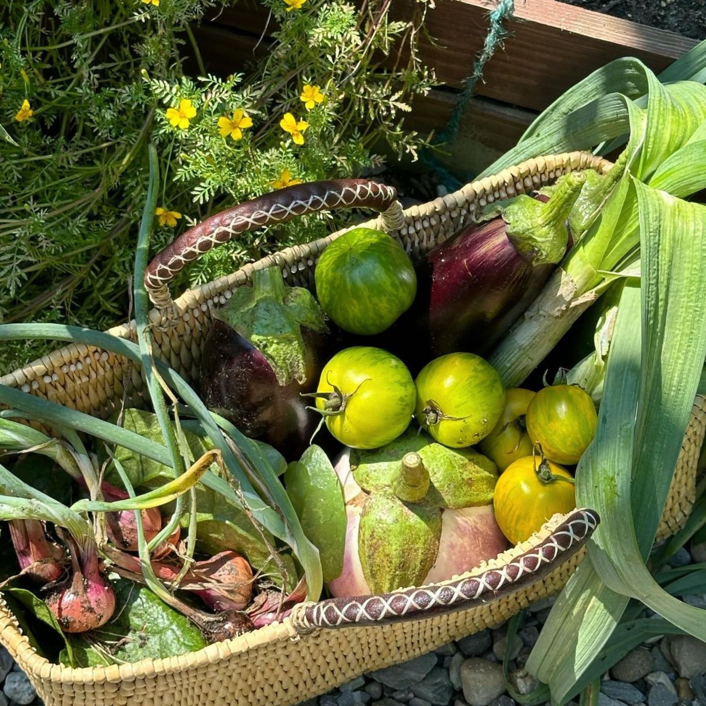 Gardener’s Long Basket