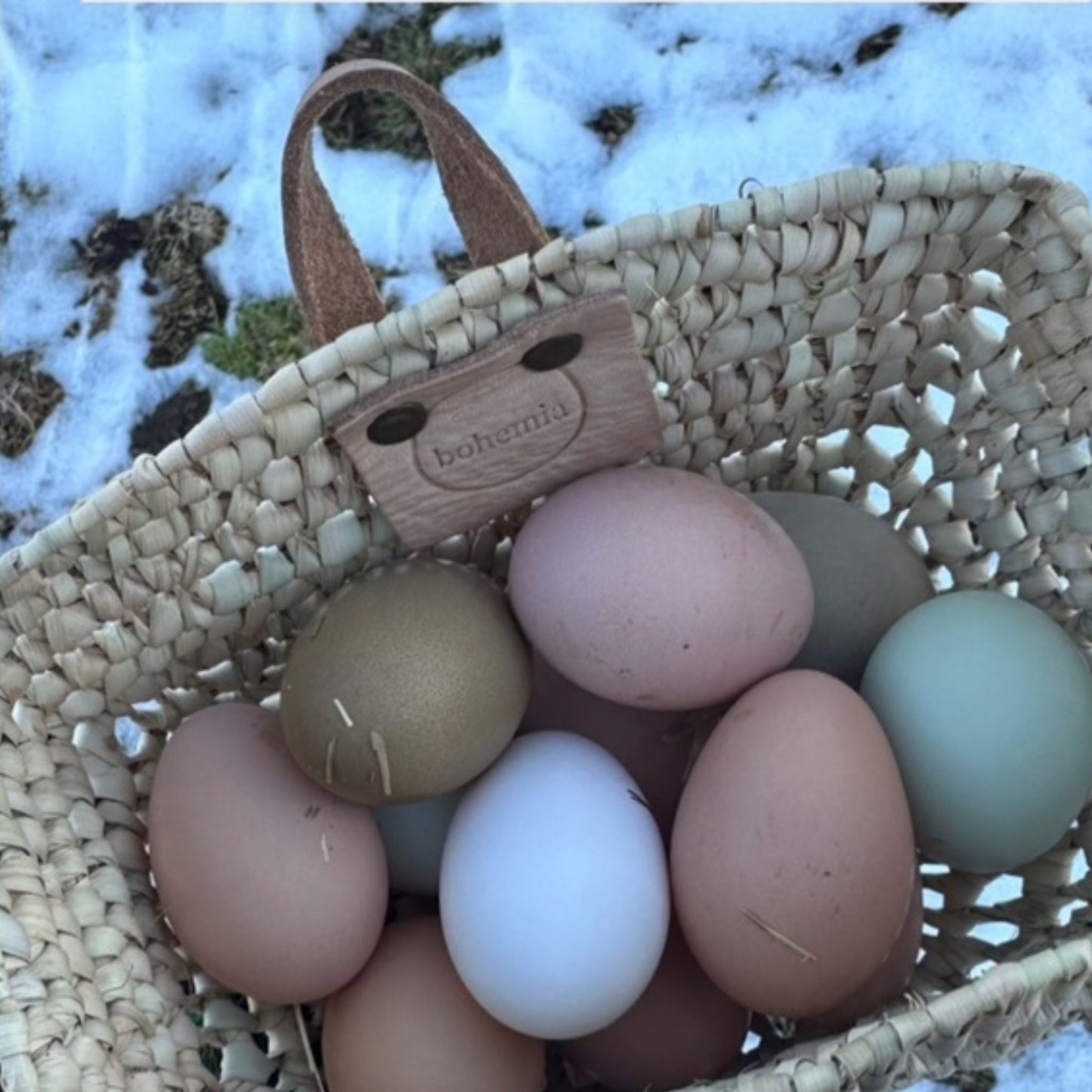 A hanging basket filled with eggs.