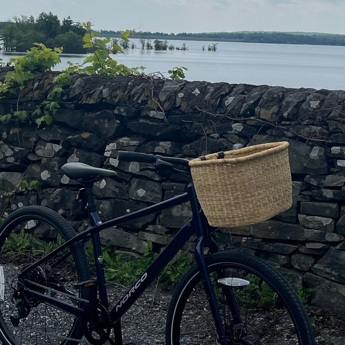 Bike Basket