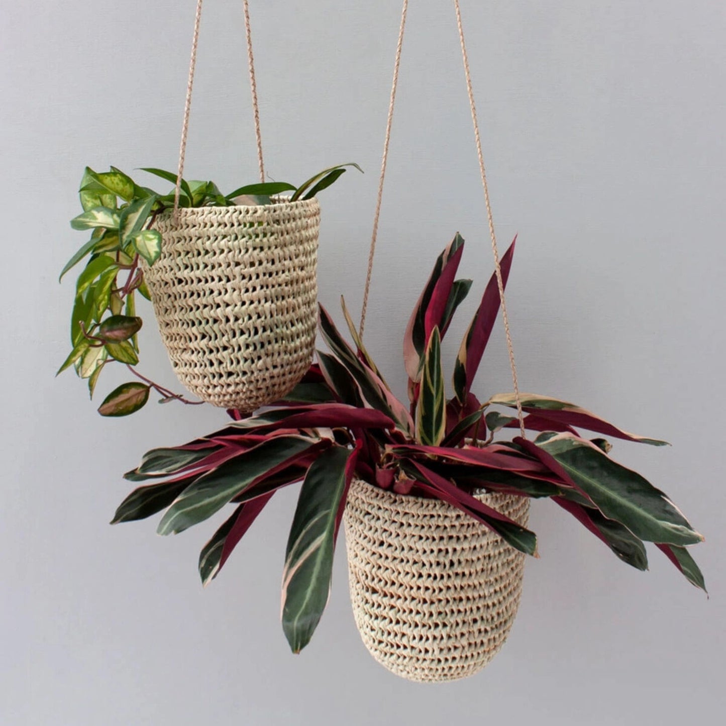 Hanging Plant Basket