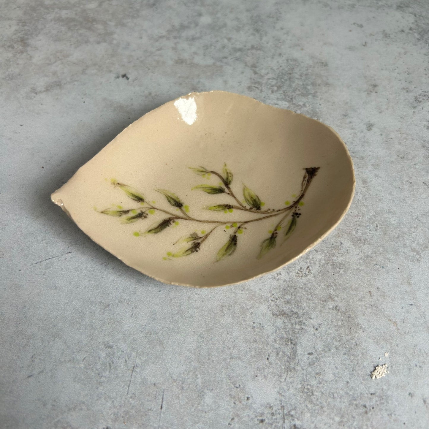 Ceramic Painted Leaf Dish by Rebeccah Pailes-Friedman