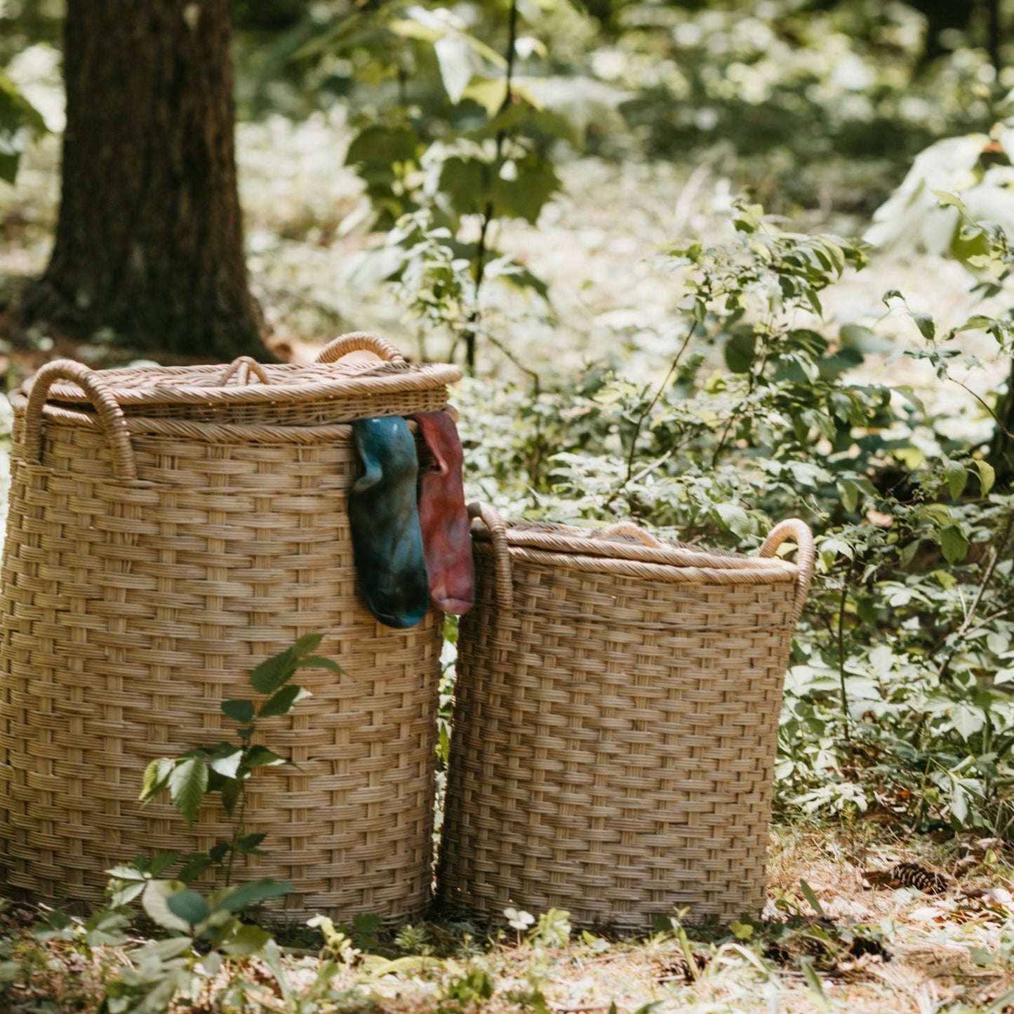 Lidded Basket with Handles - Multiple Sizes
