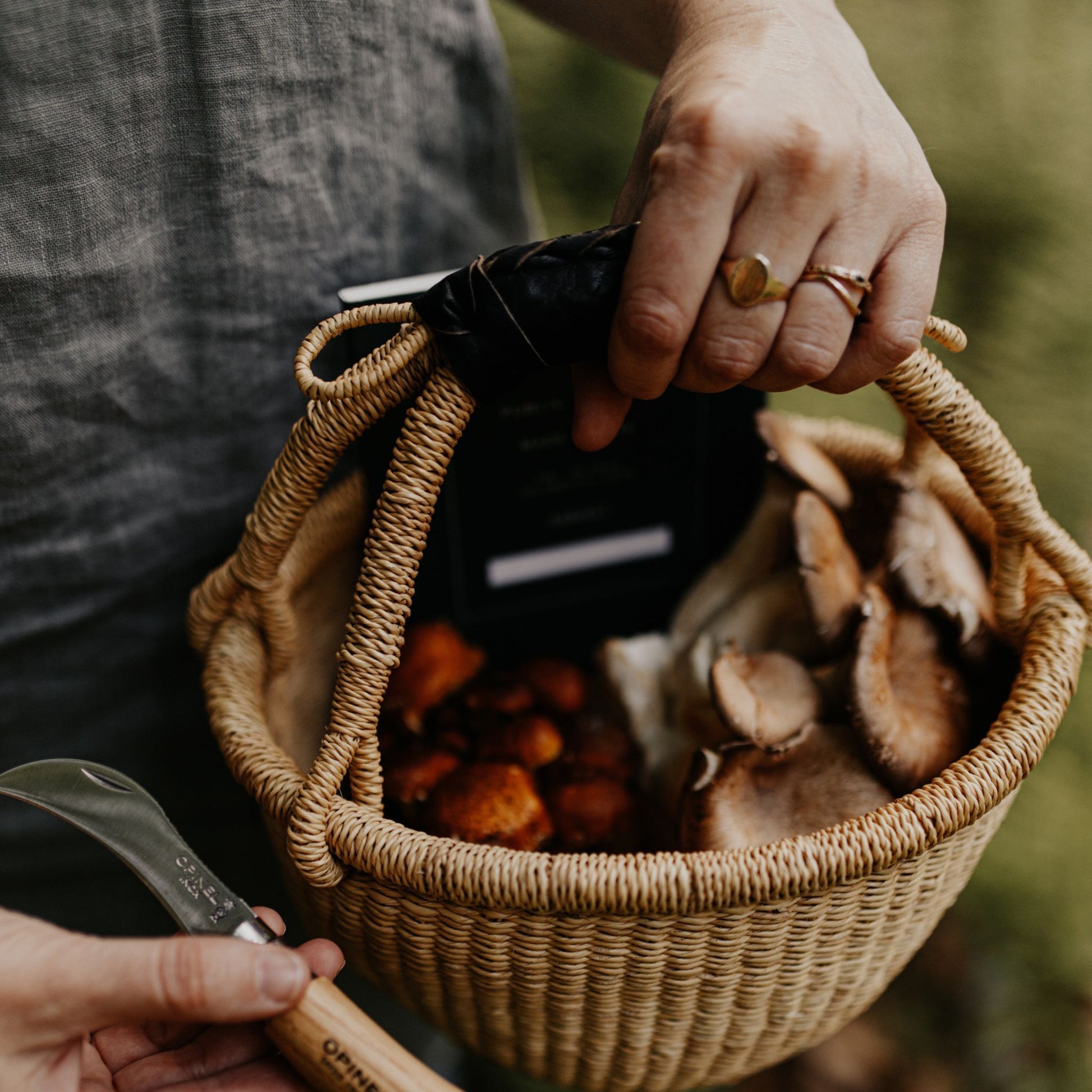 A mini round bolga basket with a black leather handle holding mushrooms