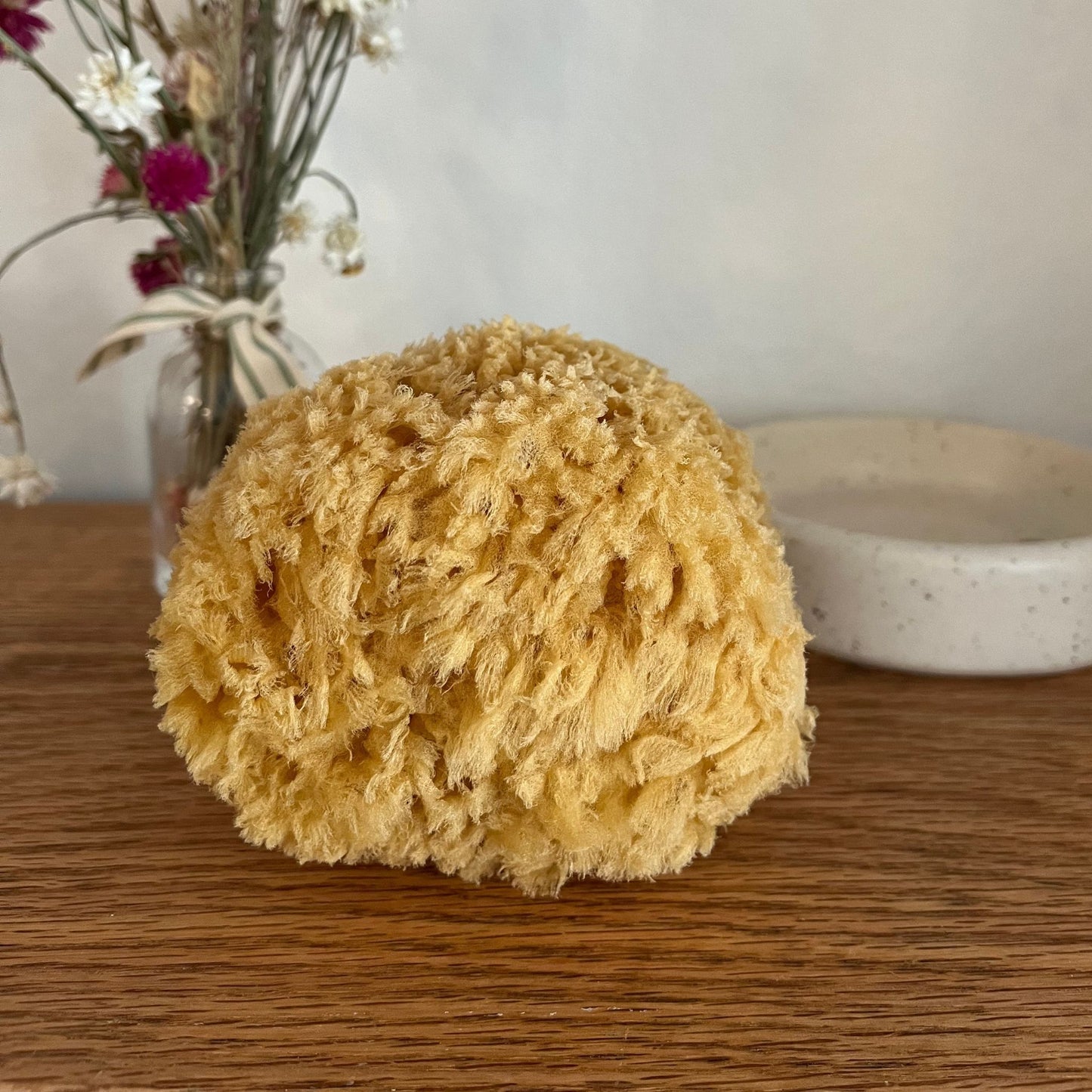 Sea Sponge