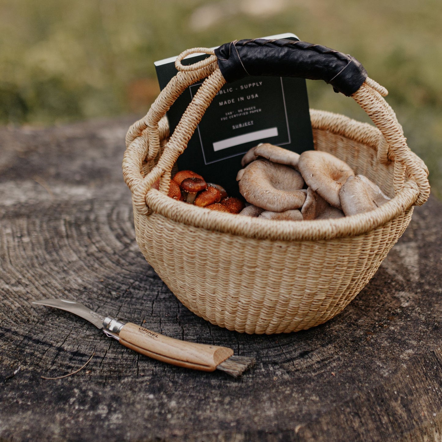 Opinel Folding Mushroom Knife