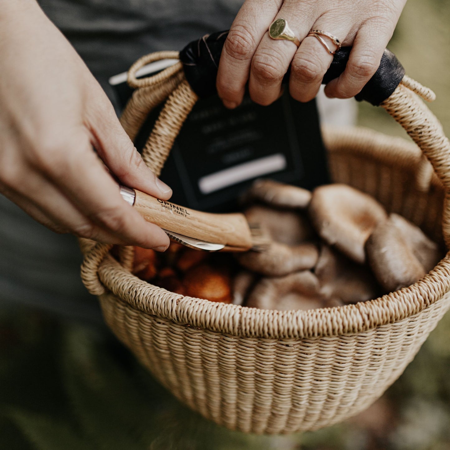 Opinel Folding Mushroom Knife