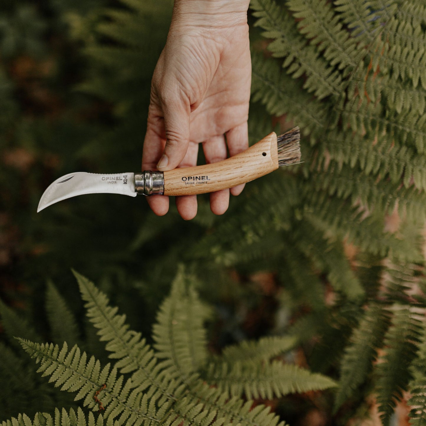 Opinel Folding Mushroom Knife