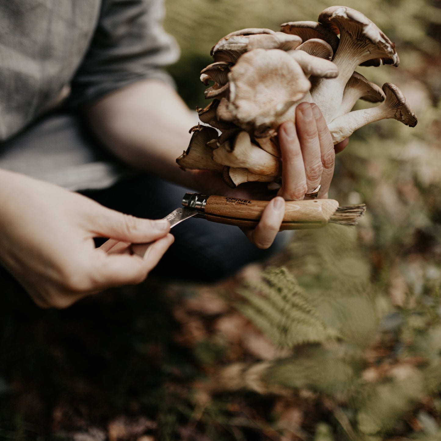 Opinel Folding Mushroom Knife