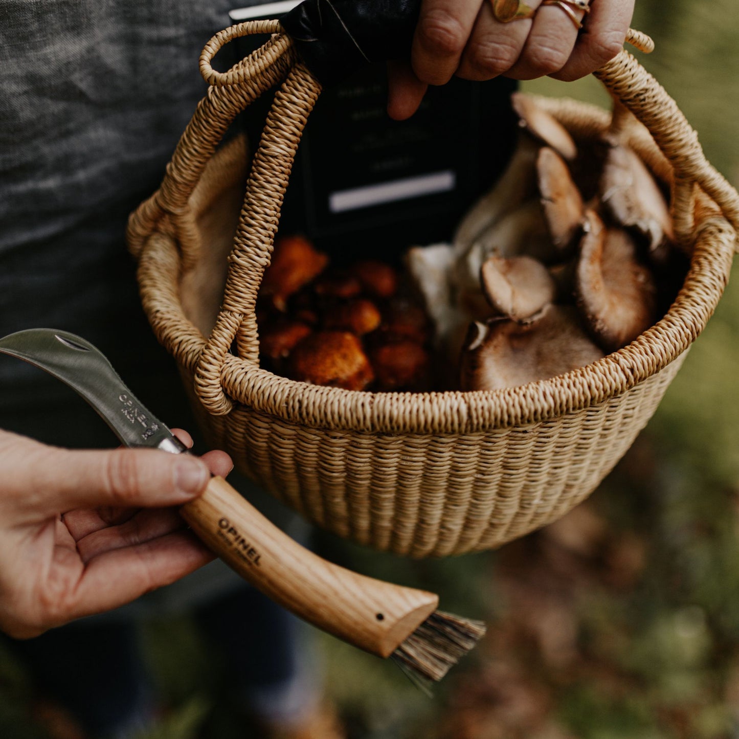 Opinel Folding Mushroom Knife