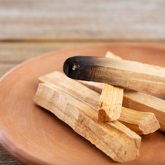Wild Harvested Palo Santo Bundle