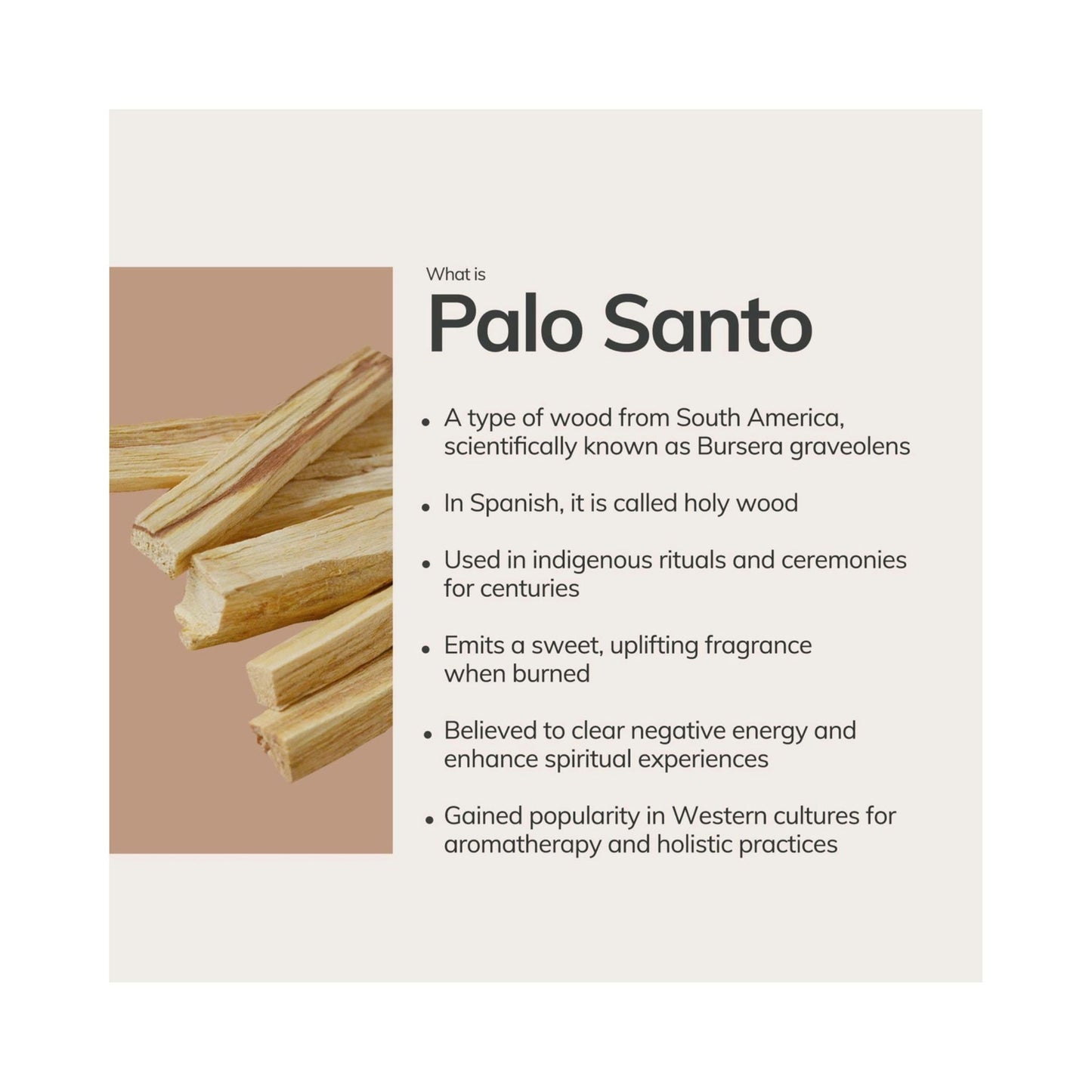 Palo Santo Wild Harvested Incense Sticks