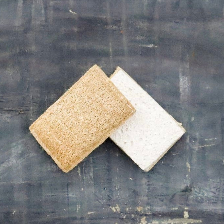 What's the Difference Between Cellulose Sponges and Those Other Kitchen  Sponges?