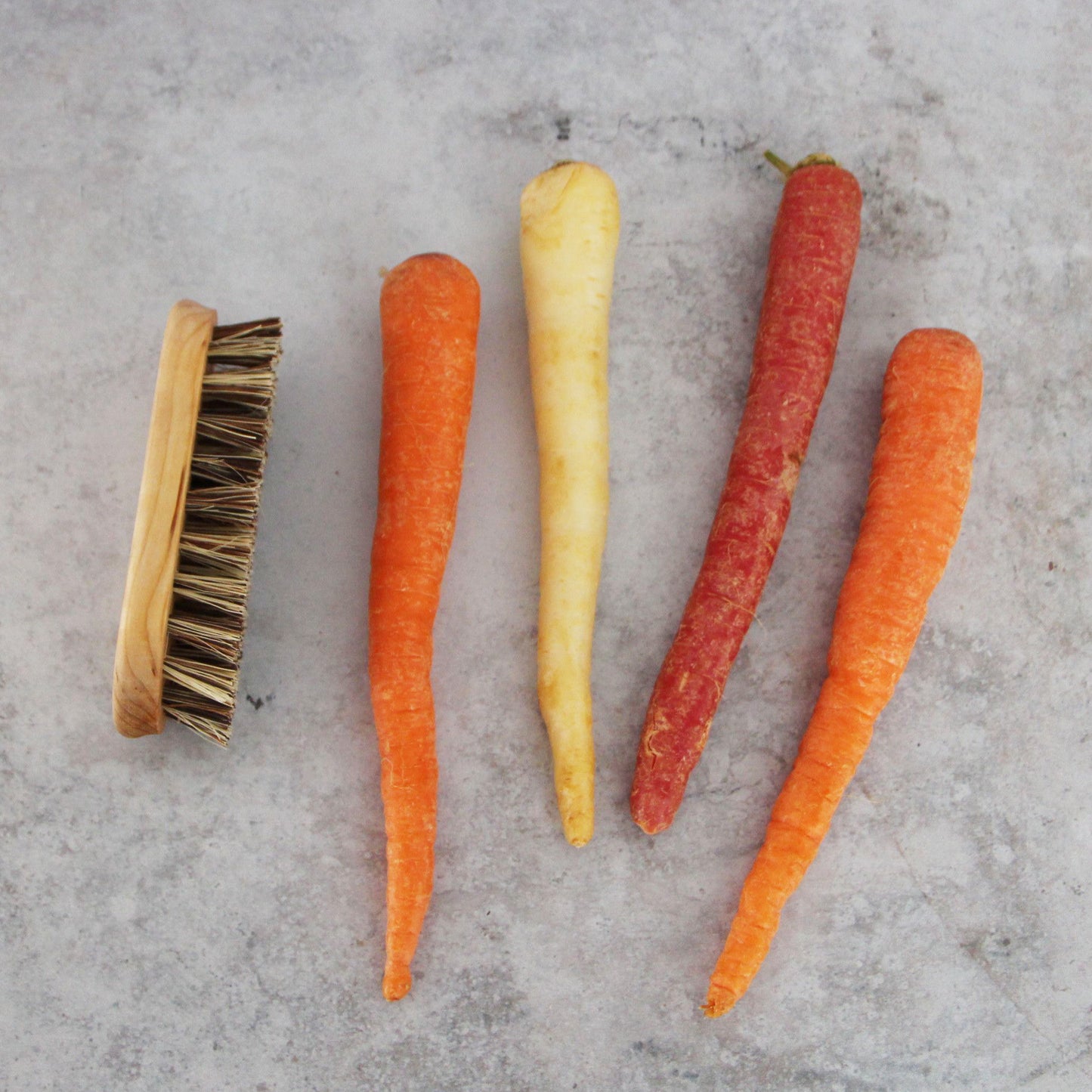A vegetable scrub brush alongside carrots