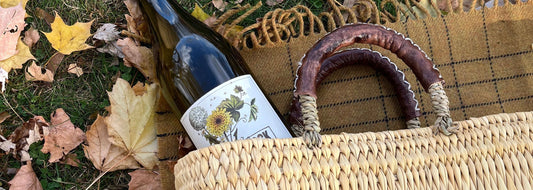 Your Garden Basket Beyond the Harvest