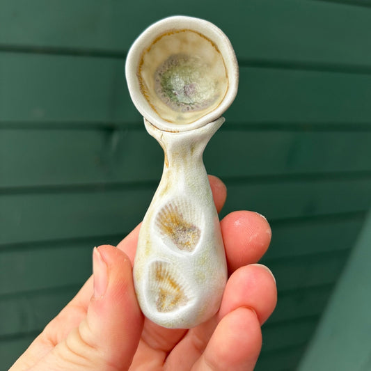 Small White Seashell Ceramic Spoon by Sarah Boudinot