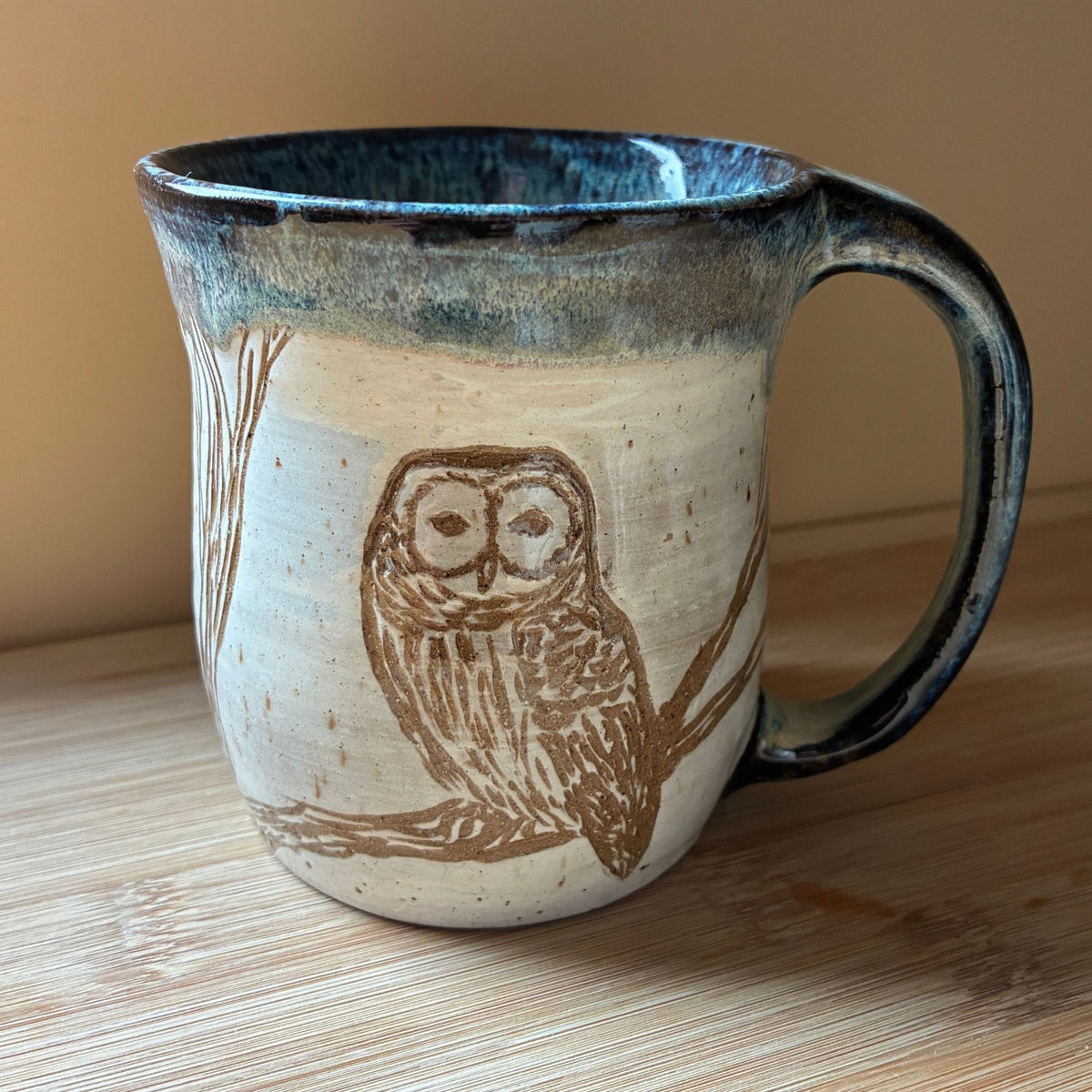 Perched Owl Ceramic Mug by Danielle Payette