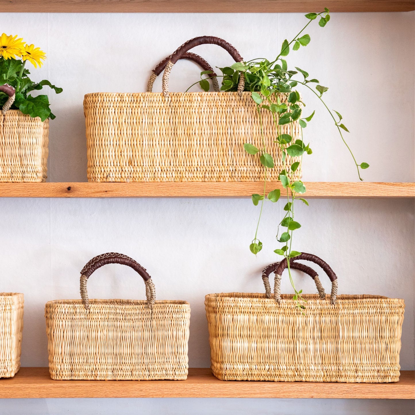 Gardener’s Long Basket