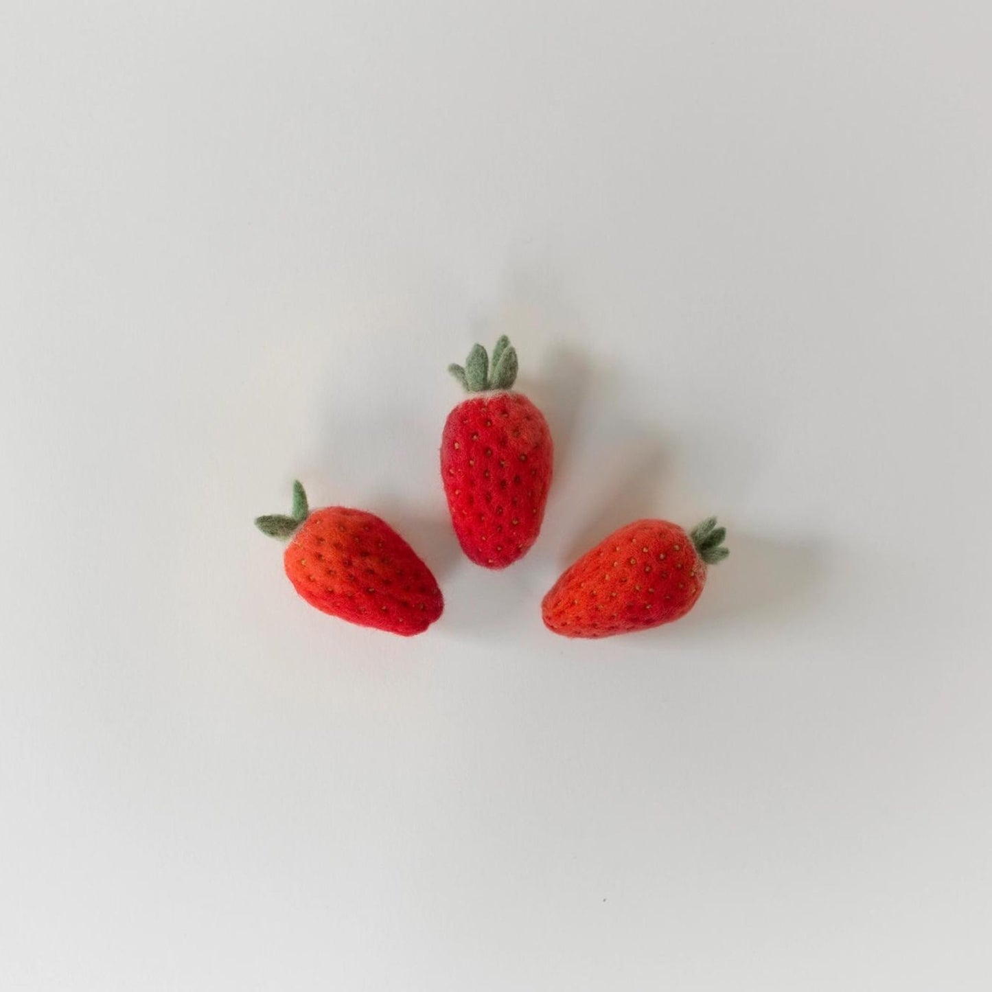 Needle Felting Kit - Strawberry