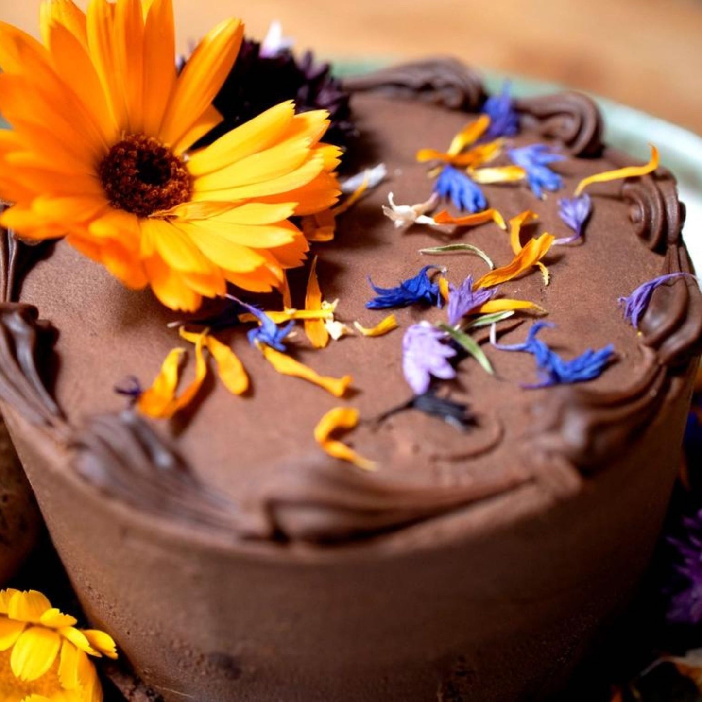 edible dried flower garnish a chocolate cake