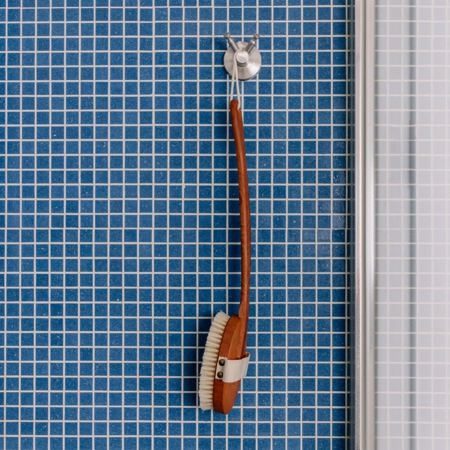 Wellness Body Dry Brush