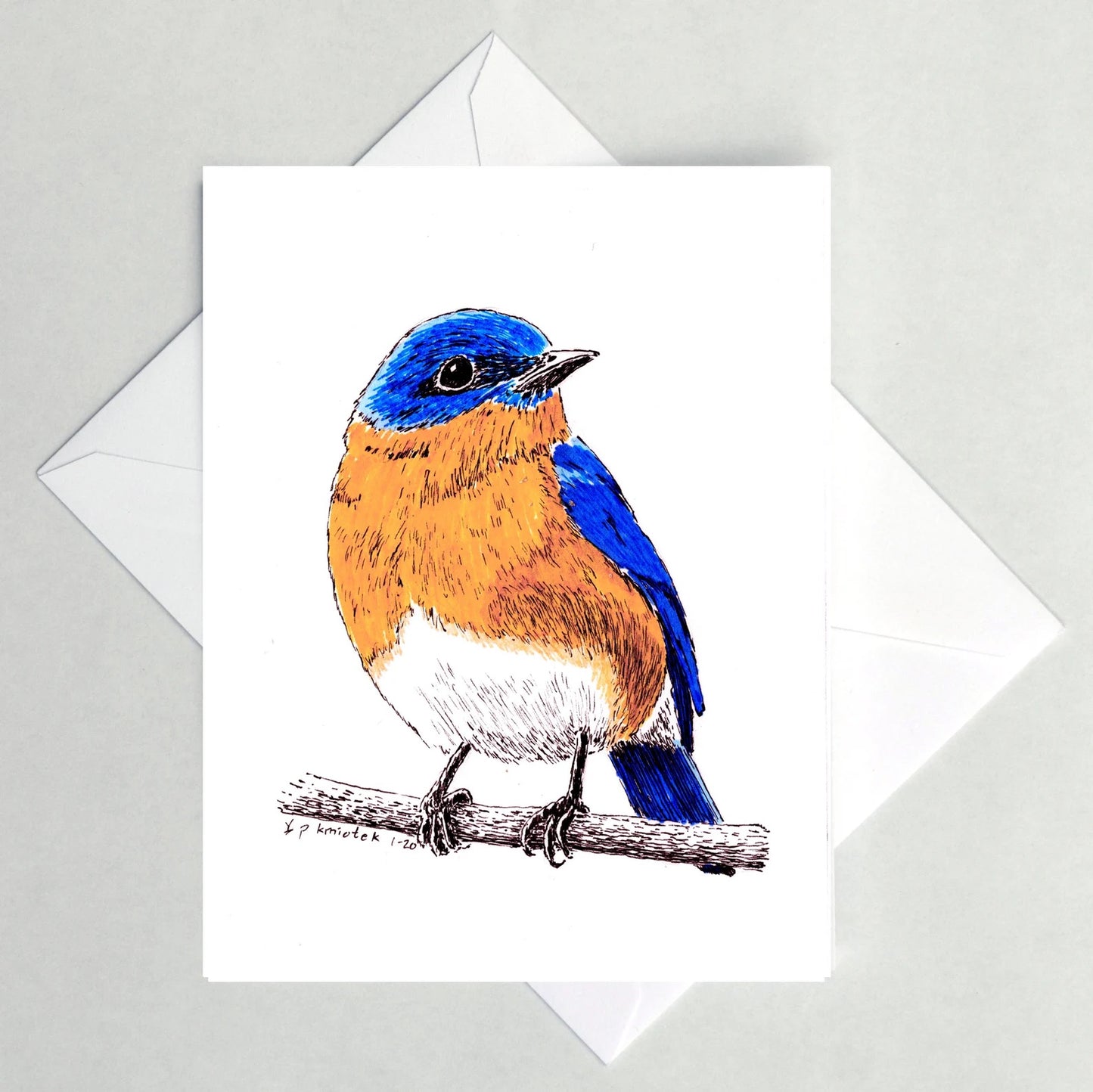 Blank folding card featuring an ink drawing of a Eastern Bluebird perched on a branch, by Paul Kmiotek. 4.75 x 5.75 Inches
