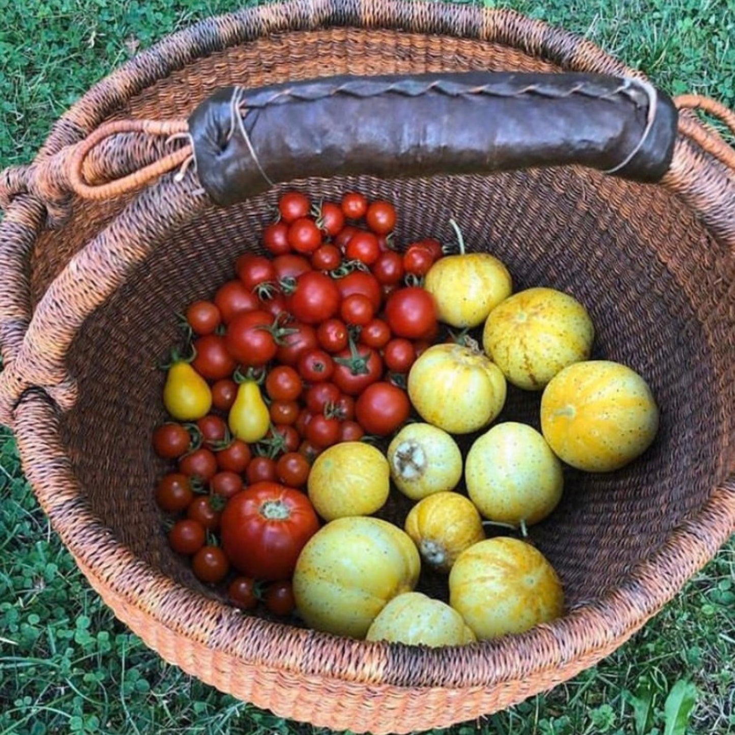 Large Ginger  Bolga Basket