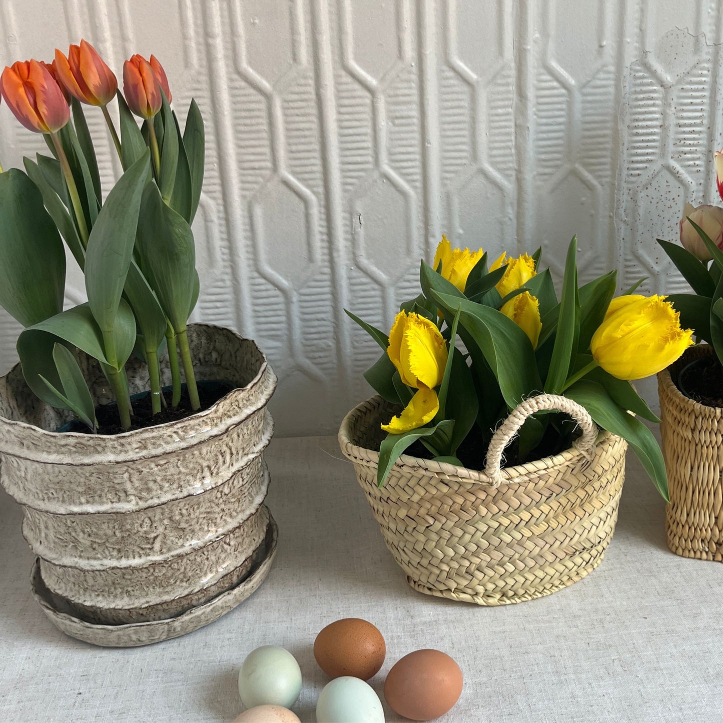 Ribbed Ceramic Planter Grace Cain