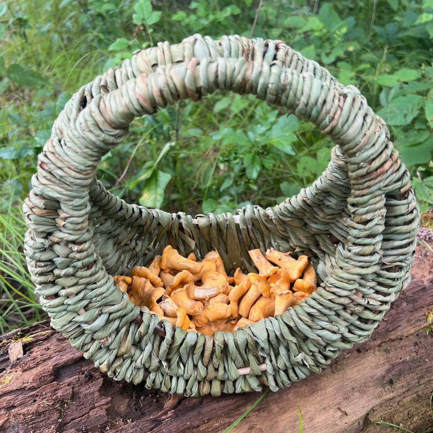 Basketry Workshop: Cattail & Willow Hen Basket - Sunday, February 22nd