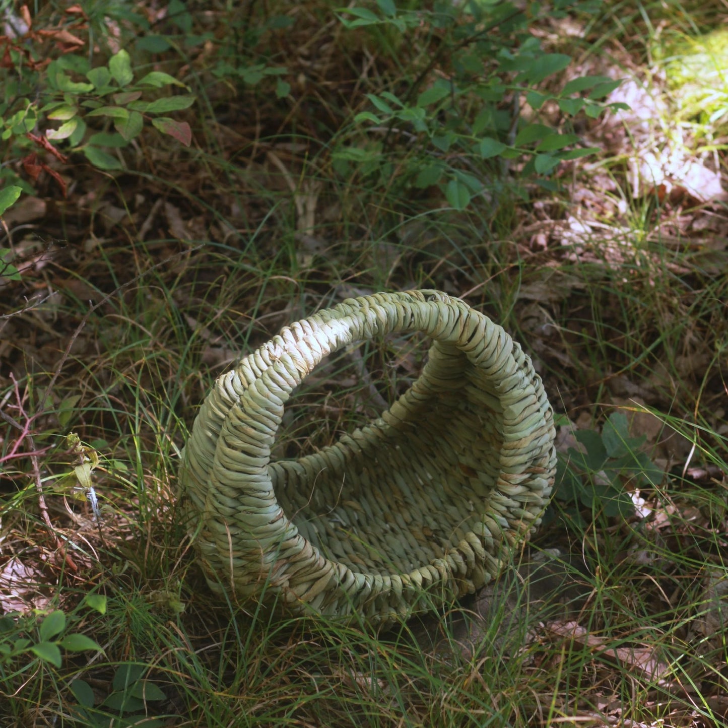 Basketry Workshop: Cattail & Willow Hen Basket - Sunday, February 22nd