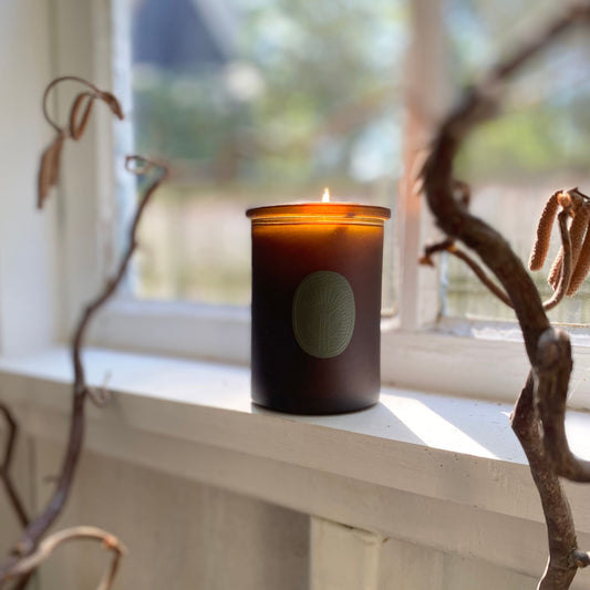 Kaaterskill Essential Oil Candle on a windowsill with sunlight and branches