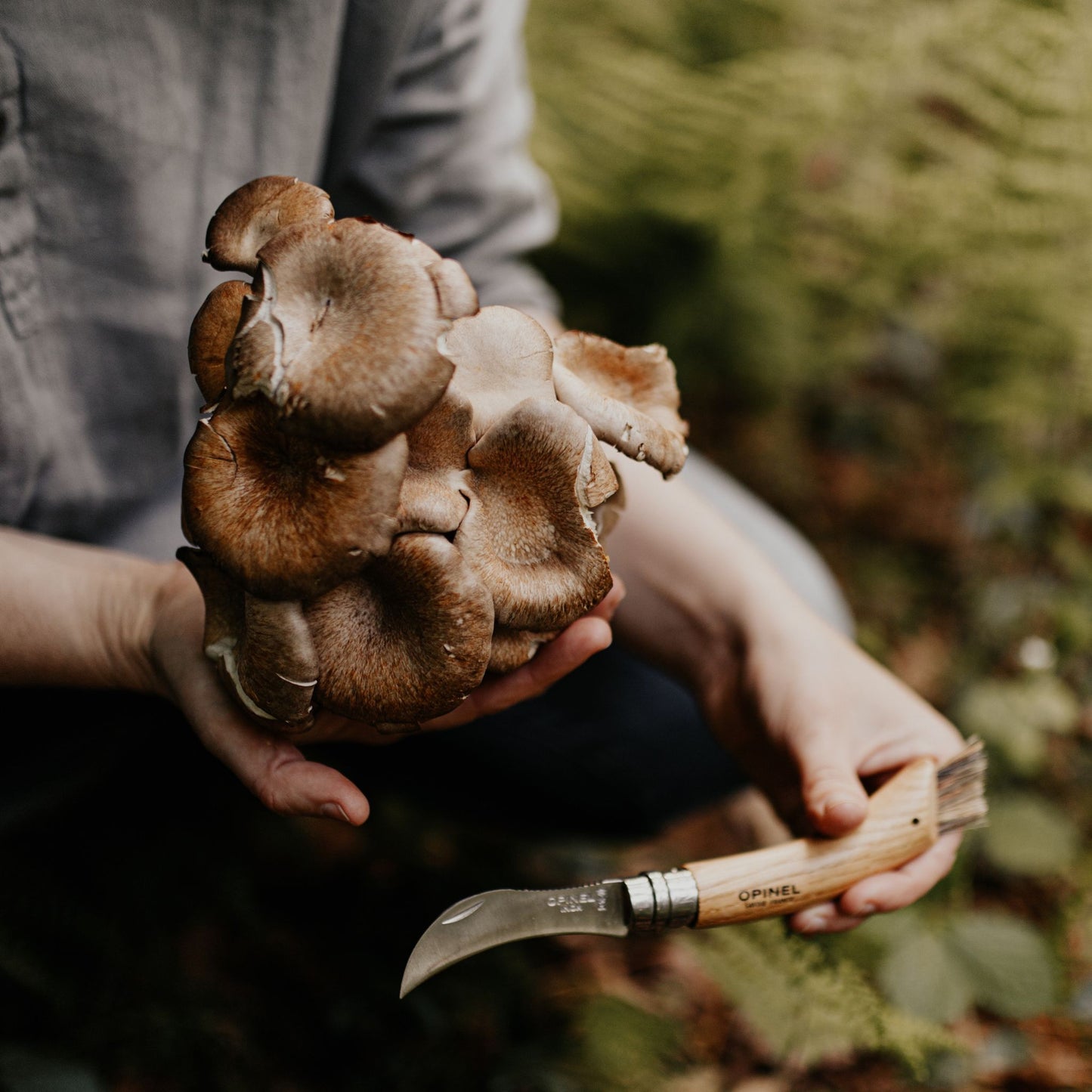 Opinel Folding Mushroom Knife