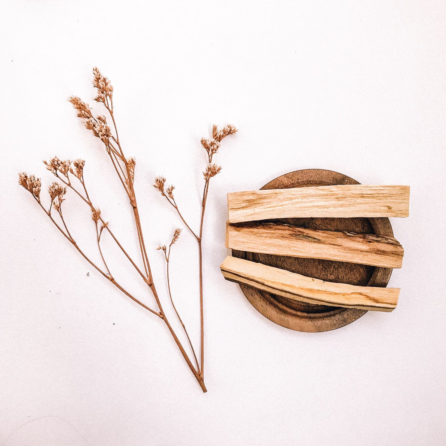 Wild Harvested Palo Santo Bundle